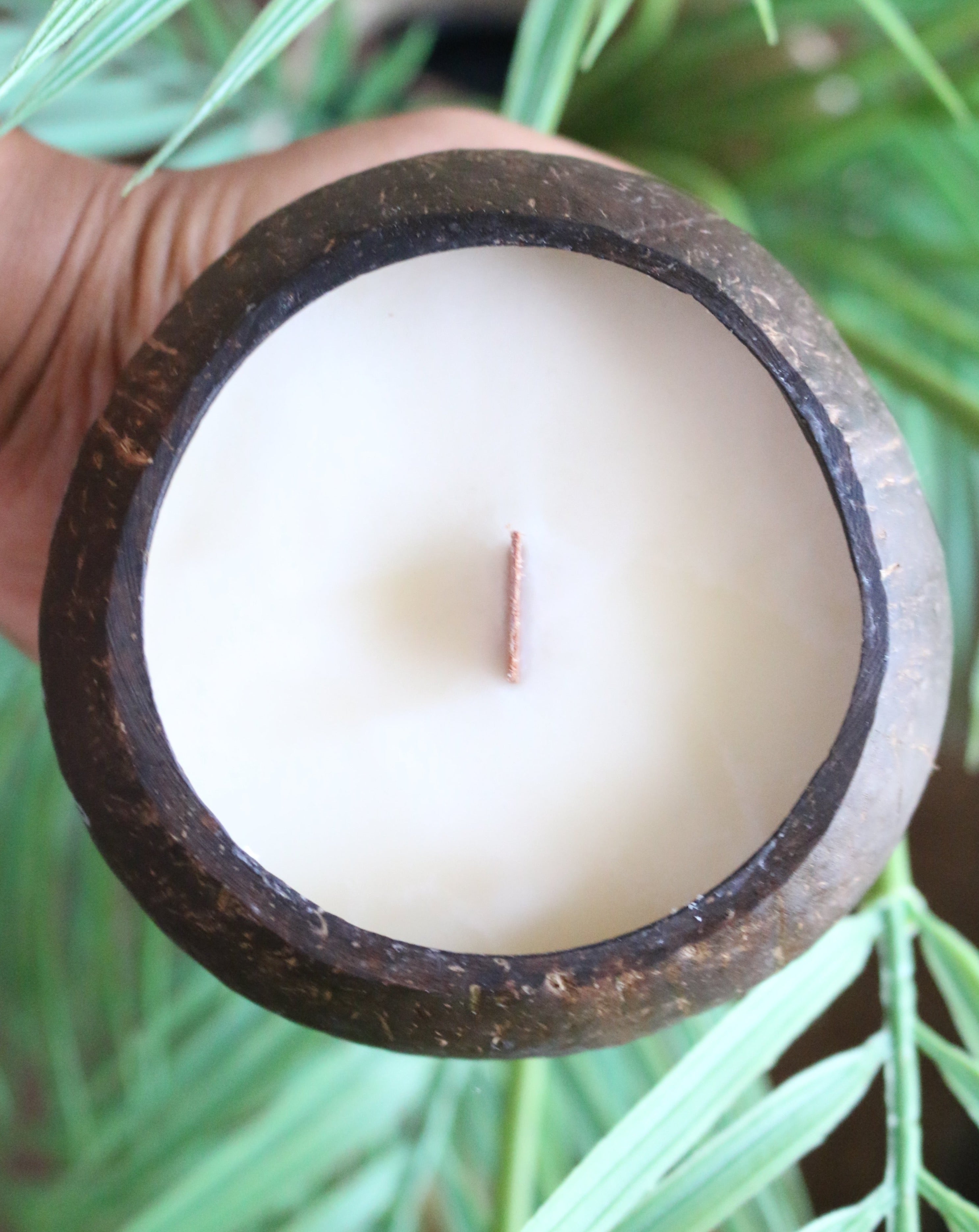 Cocotazo Candle